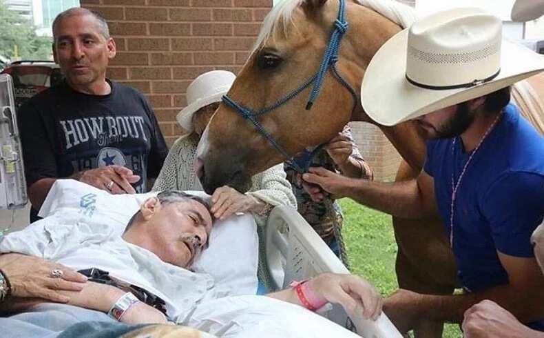 This man's last wish was to say see his horses for one last time