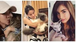Here are the names of 9 Pinoy celebrities who love cats as their pet friend