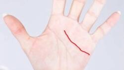 If You Have This Line On Your Hand You Are Really Lucky: Here Is Why!