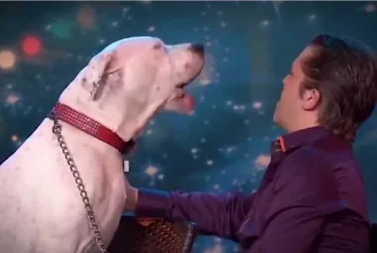Dog sings Whitney Houston hit in viral video