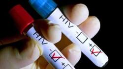 Five lives in Eastern Visayas lost to HIV-AIDS