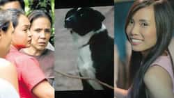 'Oro' cast member reveals alarming truth behind MMFF entry's controversial dog-slaying scene
