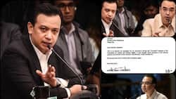 Patawad po! Trillanes apologizes to Cayetano for emotional outbursts during EJK hearing