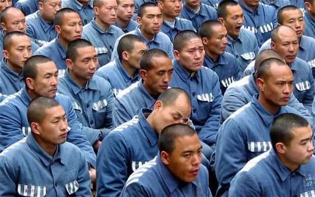 100,000 prisoners executed anually in China