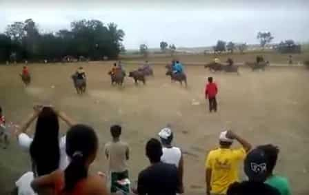 Video of Carabao race went viral