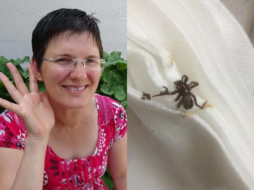 Woman finds live spider in her ear after swimming incident