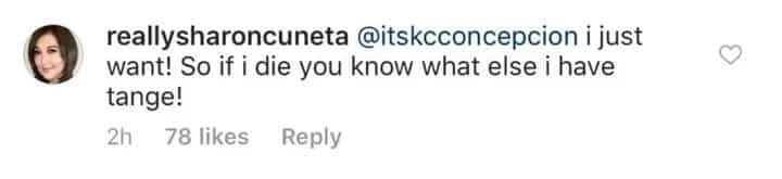 Sharon Cuneta posts pics of her vault and tags KC Concepcion