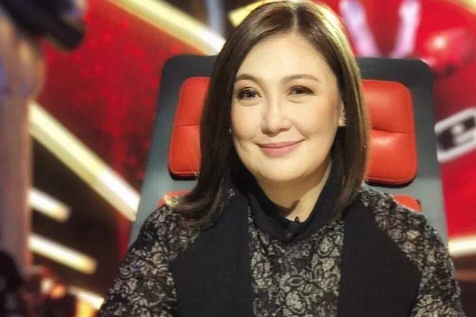 Sharon Cuneta reveals she's now treading the line carefully when it comes to her social media posts