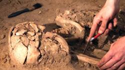 3-year-old boy says he had been murdered in his past life. He showed the spot where his body was buried, and they found disgusting evidence in there
