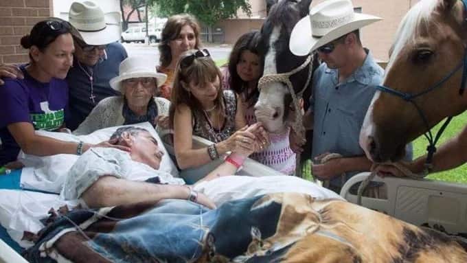This man's last wish was to say see his horses for one last time