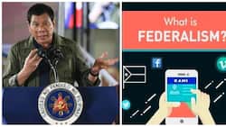How federalism works: Federal form of government in the Philippines, explained