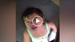 This cute kid cried after older sister told her Daniel Padilla will never be hers...her reaction is priceless!