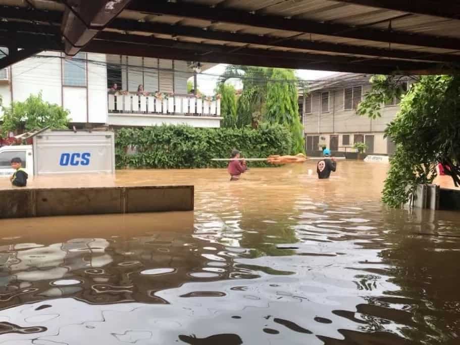 Rain or shine, may lechon ka! Netizens express their delight over photos of lechon being delivered despite heavy rains and floods