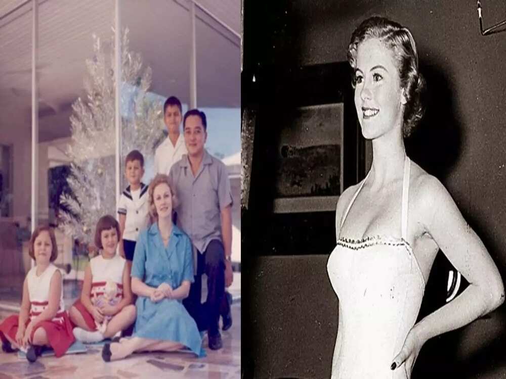 miss-universe miss-universe