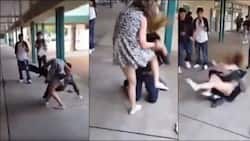 Teen girl beats the hell out of a guy for bullying her online