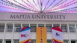 Exploring interesting details about Mapua University