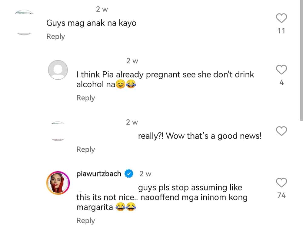 Pia Wurtzbach asks netizens to stop assuming she is pregnant: "Its not nice"