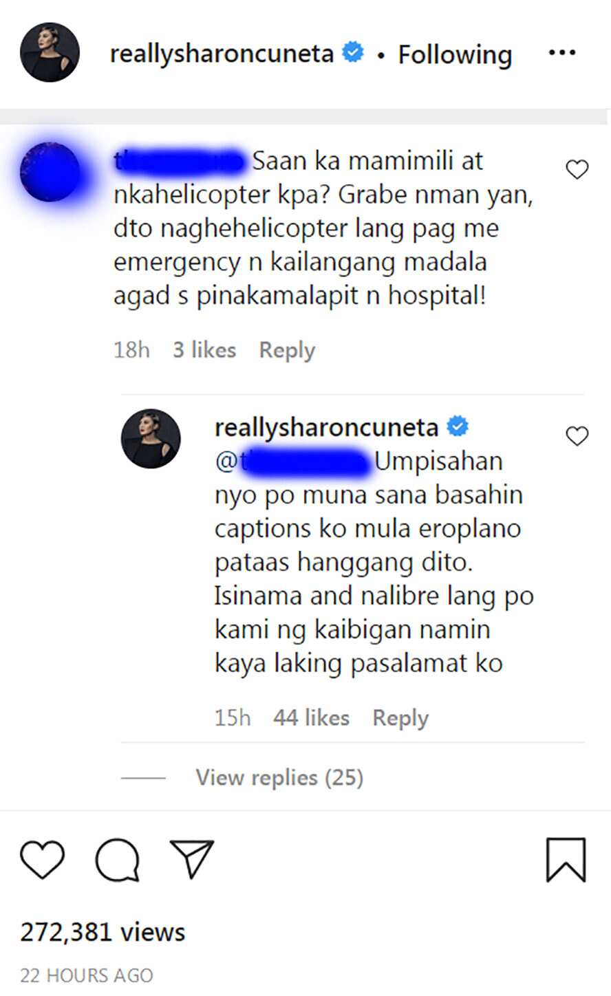 Sharon Cuneta, niresbakan ang basher na inakusahan syang nag-helicopter pa para makapag-shopping lang sa NY