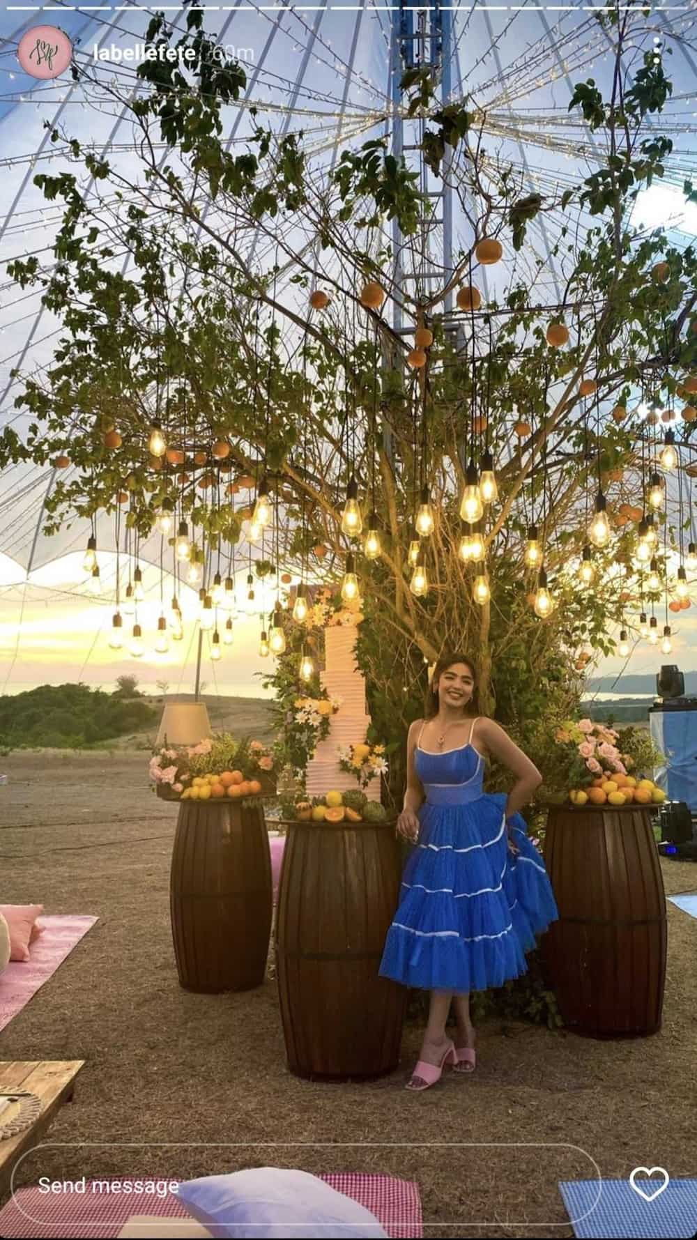 Pictures from Andrea Brillantes' birthday picnic celebration go viral