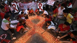 Explainer: What is HIV, its symptoms, and how to prevent it?
