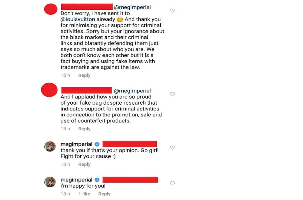 Meg Imperial heavily accused of wearing ‘fake’ LV bag; actress responds