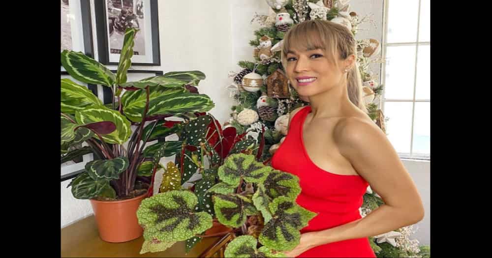 Aubrey Miles flaunts new investment made from selling plants