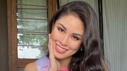 Kisses Delavin, trending ang kanyang Lapay-inspired costume na isusuot para sa Miss Universe PH 2021