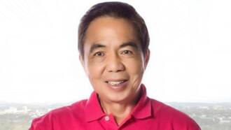 Former MMDA Chairman Bayani Fernando, pumanaw na sa edad na 77