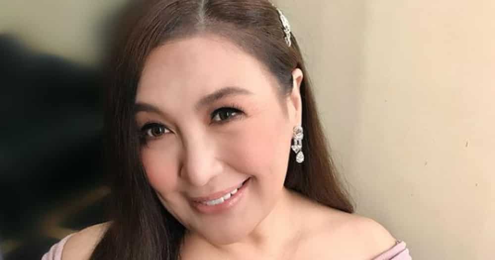 Sharon Cuneta’s slimmer figure gets revealed in new photos with Marco Gumabao