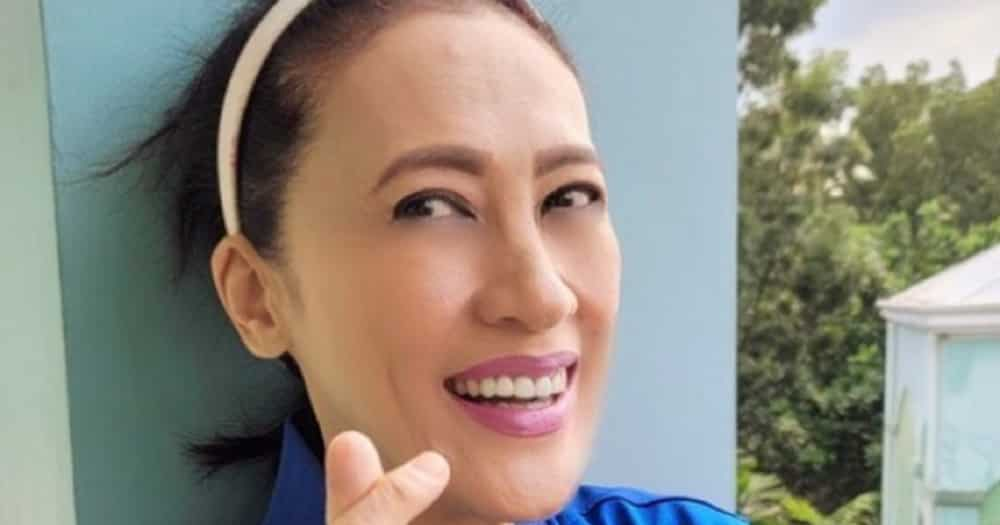 Ai-Ai delas Alas takes swipe at basher who has negative comment on her TikTok video