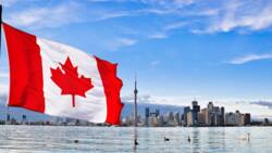 Canada to hire 2,000 Pinoy workers every year