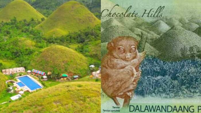 Artwork sa likod ng P200 na may resort sa gitna Chocolate Hills, kinagiliwan ng netizens; nag-viral