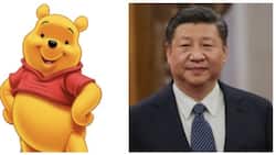 Some netizens use the photo of Winnie the Pooh to protest against Chinese President Xi Jinping