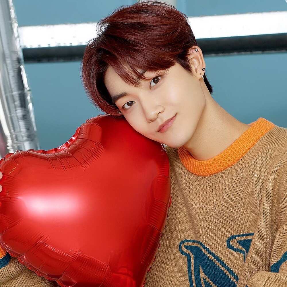 The Boyz songs The Boyz songs