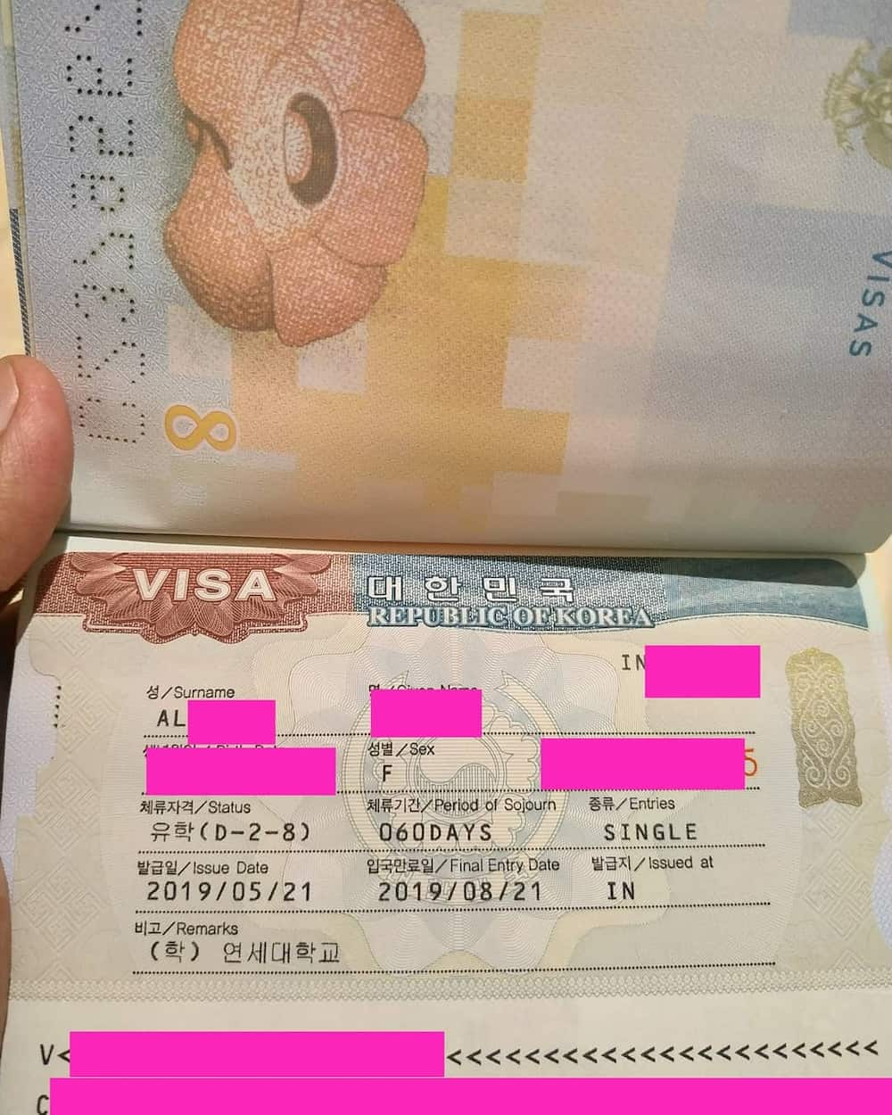 visit visa korea requirements