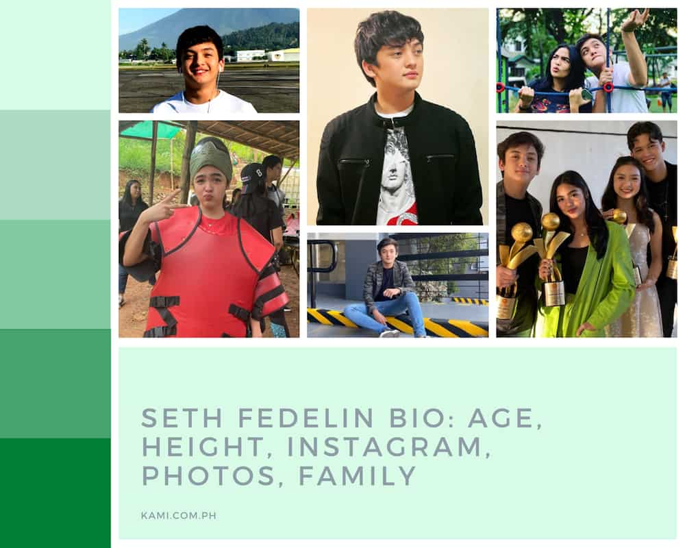 Seth Fedelin Bio Age Height Instagram Photos And Family