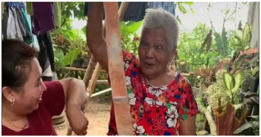 Lola na labis na natuwa sa natanggap na money cake, umantig sa puso ng netizens