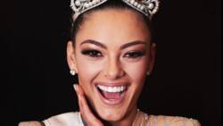 Demi-Leigh Nel-Peters bio: Age, net worth, Miss Universe, nationality