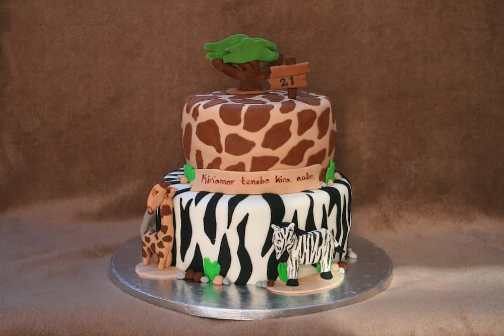 Safari cake design