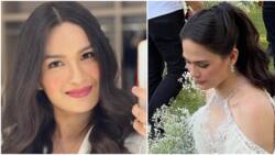 Pauleen Luna reacts to Kristine Hermosa's stunning photo: "May nanalo na"