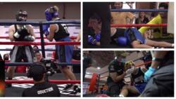 Christian Merck Grey knocks out Xander Arizala in boxing match