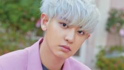 Chanyeol EXO biography: more about his wife, net worth, age, Instagram, daughter
