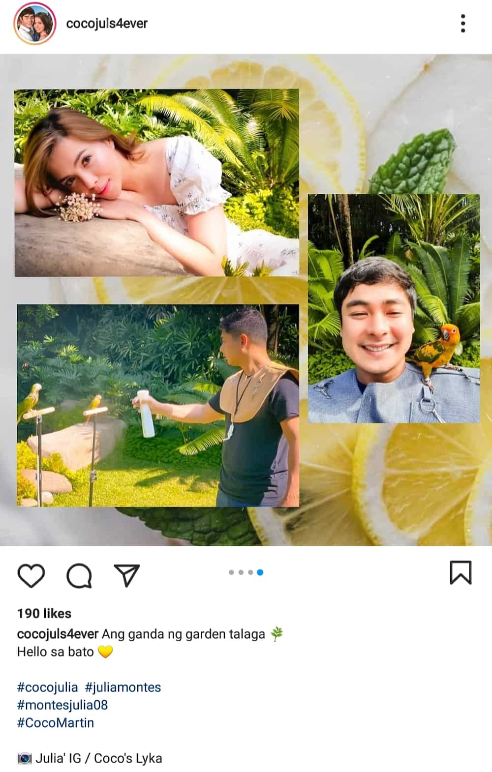 CocoJul fan account posts several similar garden photos of Julia Montes, Coco Martin