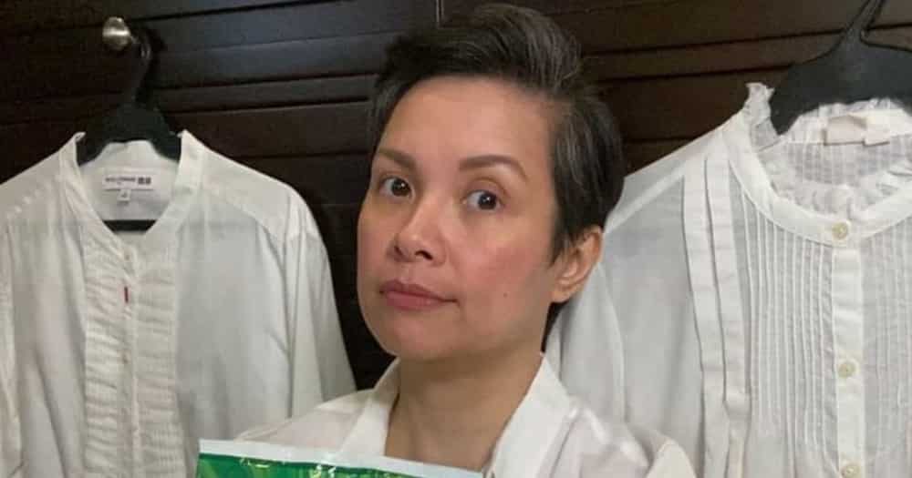 Lea Salonga lends her voice to Netflix's upcoming animated series 'Centaurworld' Lea Salonga lends her voice to Netflix's upcoming animated series 'Centaurworld'