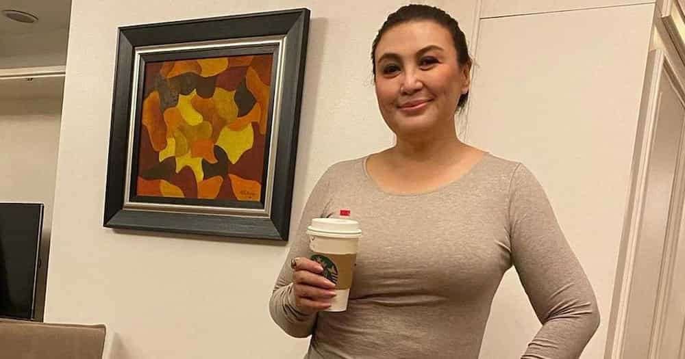 Sharon Cuneta, nagtitinda ng balut binigyan ng ayuda: Megastar, umani ng papuri