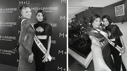 Michelle Dee wows netizens with her look at welcome dinner for Miss Universe 2023 delegates