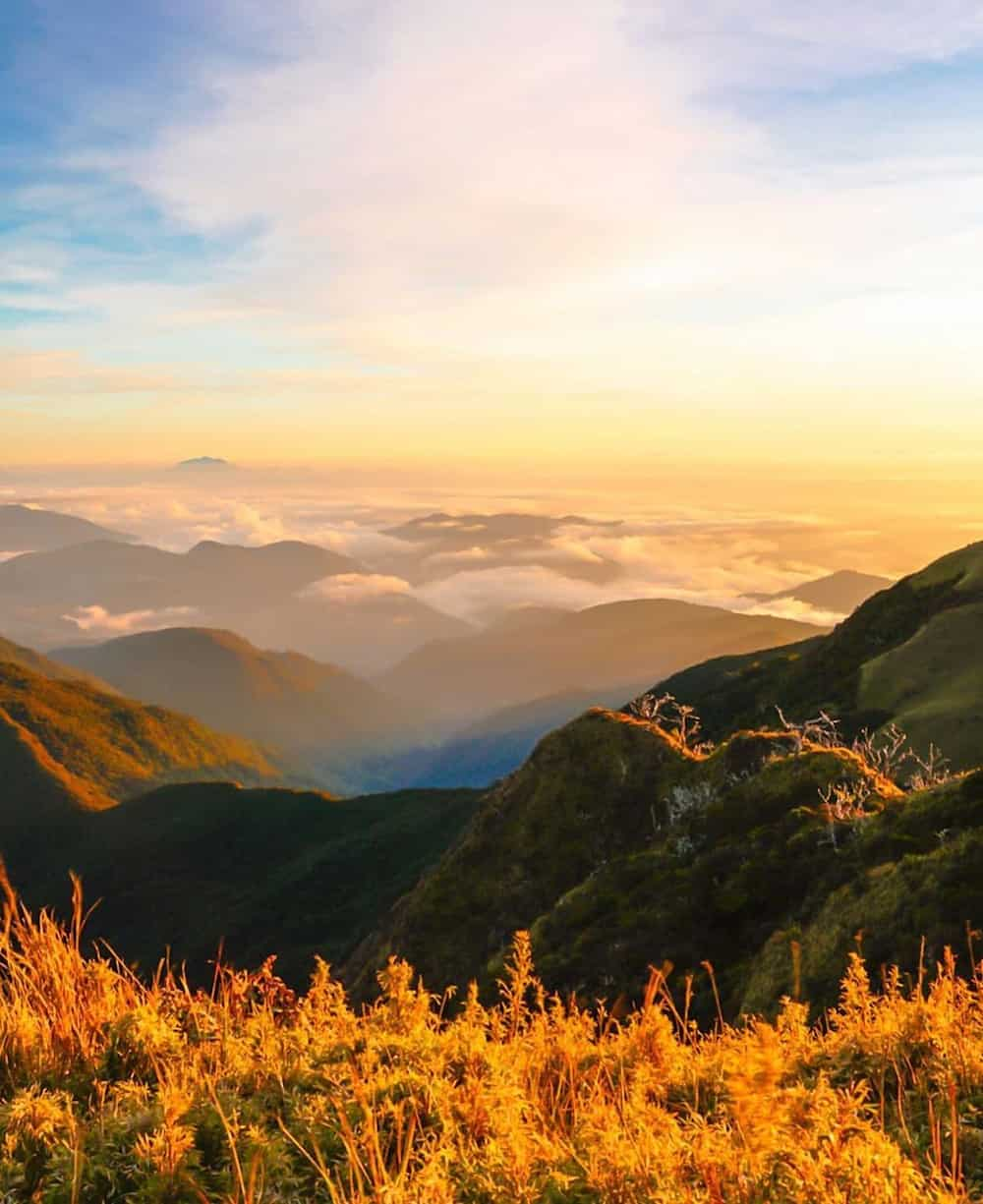 Mt. Pulag