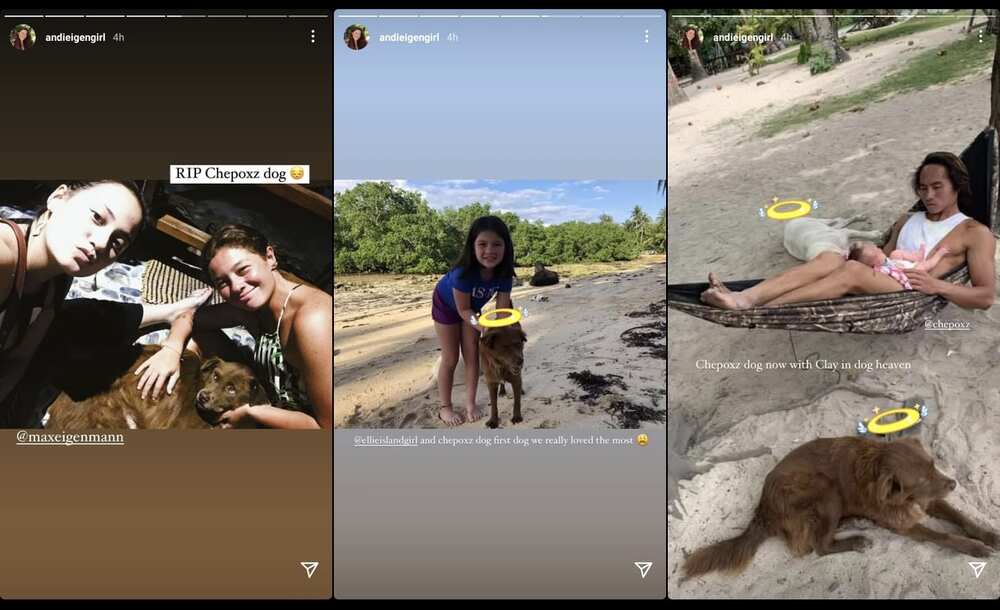 Andi Eigenmann, Philmar Alipayo mourn death of their pet dog Chep in viral posts