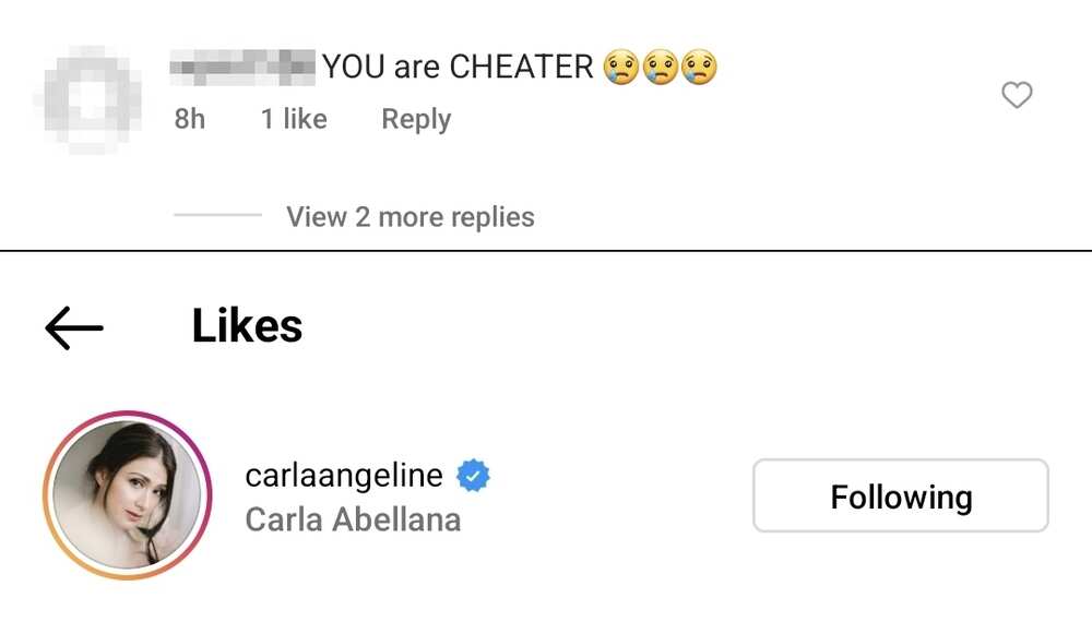 Carla Abellana, ni-like ang "cheater" comment ng netizen sa post ni Tom Rodriguez