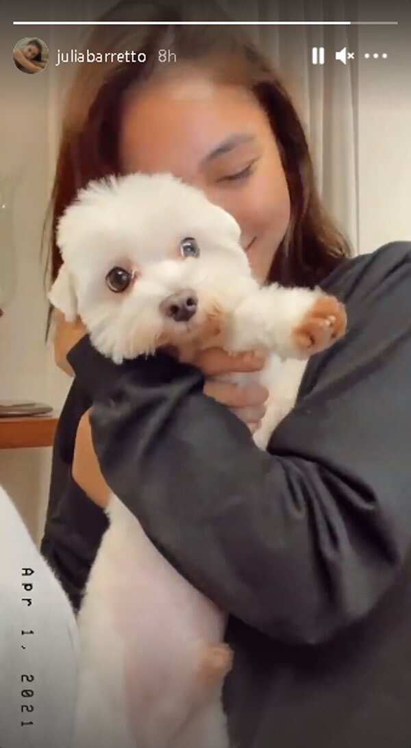 Video of puffy-eyed Julia Barretto hugging her dog goes viral amid Gerald and Yam's "maiinit" scenes